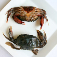 Thomsun Crab