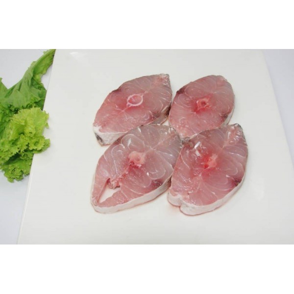 Fresh Barracuda / باراكودا الطازجة