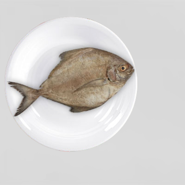 Fresh Black Pomfret Whole Cleaned - Per 500Gm