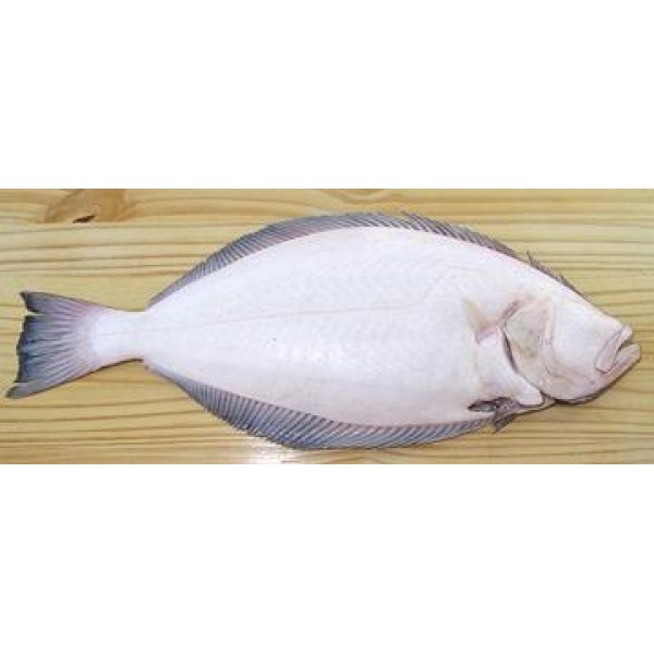 Fresh Halibut Whole Cleaned - Per 1Kg