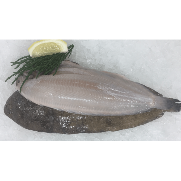 Fresh Sole Whole Cleaned - 500Gm