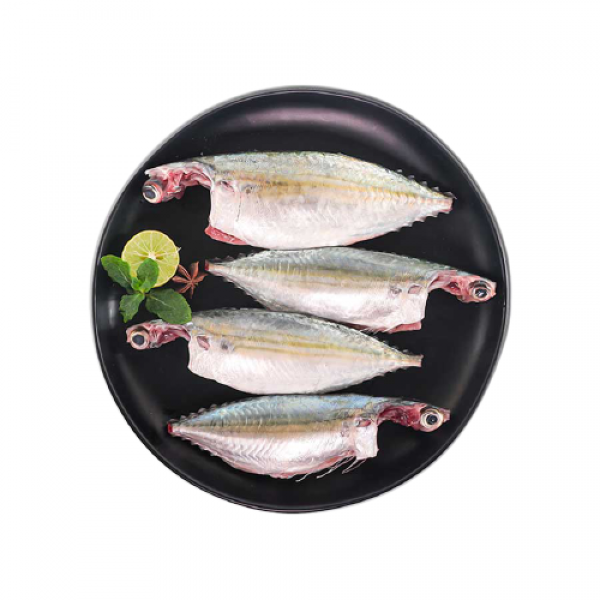Fresh Mackerel Small / الماكريل الطازج