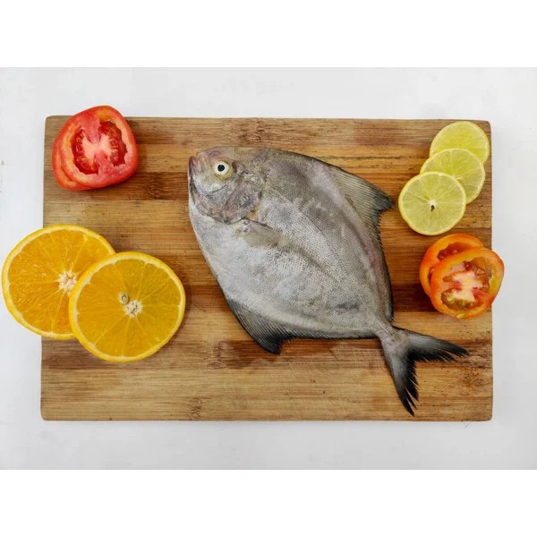 Black Pomfret Whole Small Frozen - Per 500Gm