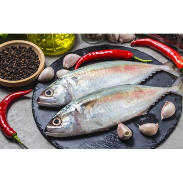 Frozen Mackerel