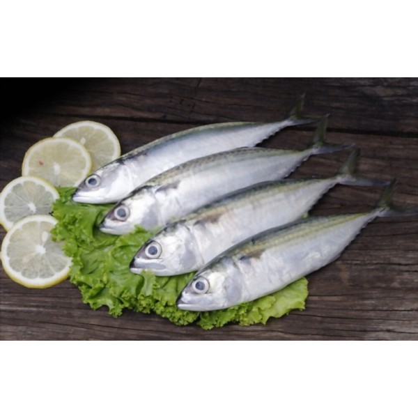Frozen Mackerel Small Whole - Per 500Gm