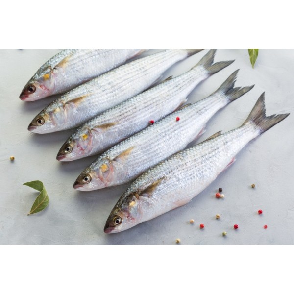 Fresh Grey Mullet Whole - 500Gm