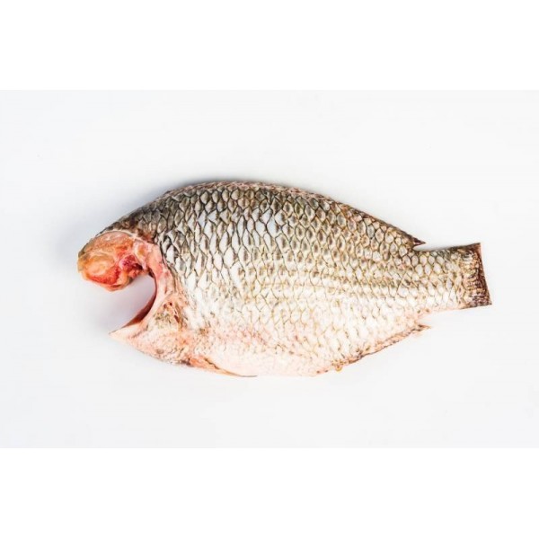 Fresh Tilapia Whole Cleaned - 500Gm