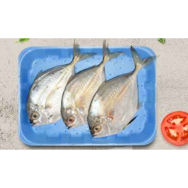 Fresh Trevally/Vatta 