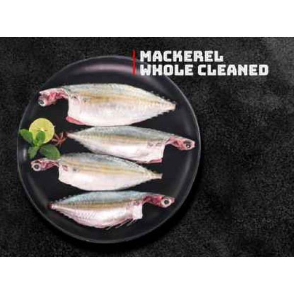 Frozen Mackerel