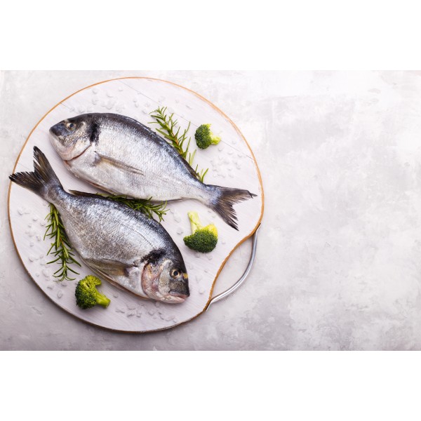 Frozen Sea Bream