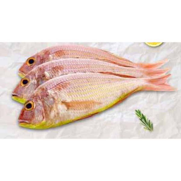 Sultan Ibrahim Large Whole Frozen 