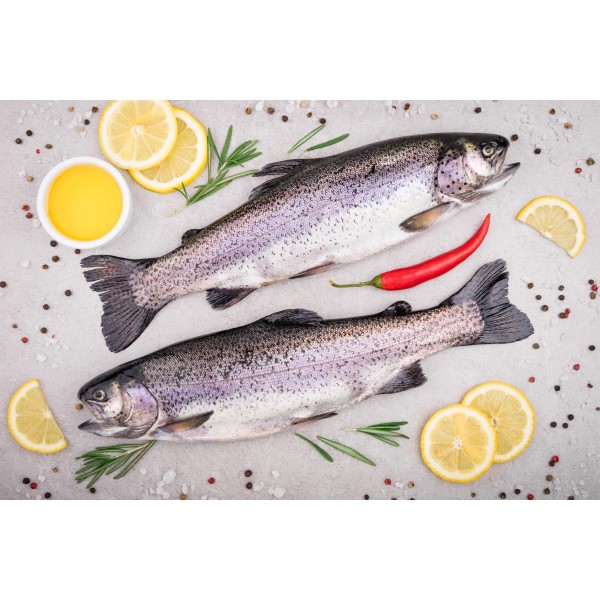 Trout Frozen