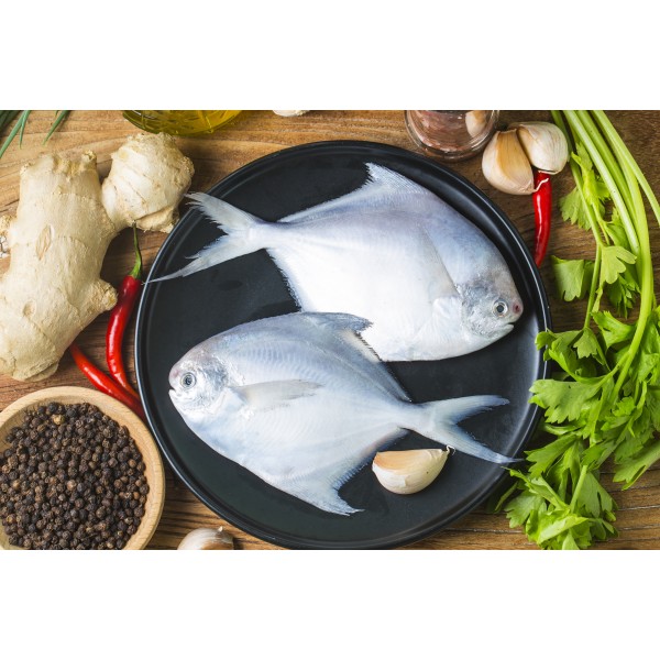 White Pomfret Medium Frozen - Per 500Gm