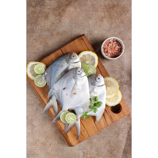 White Pomfret Frozen