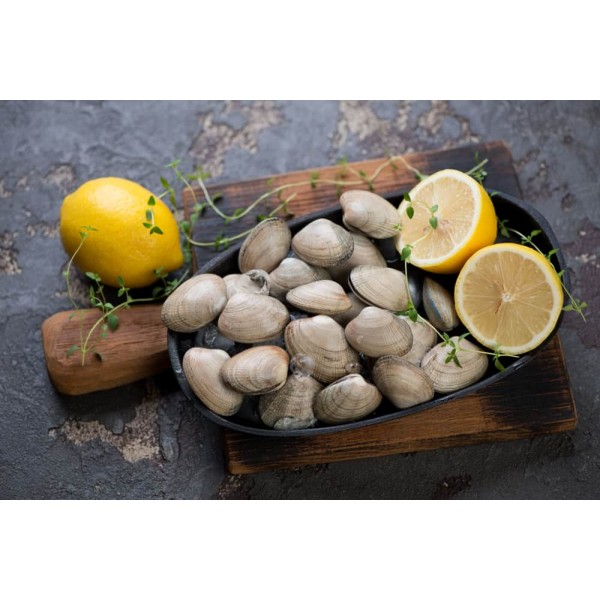 Clams Frozen