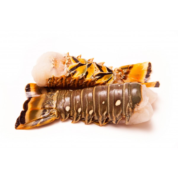 Lobster Frozen