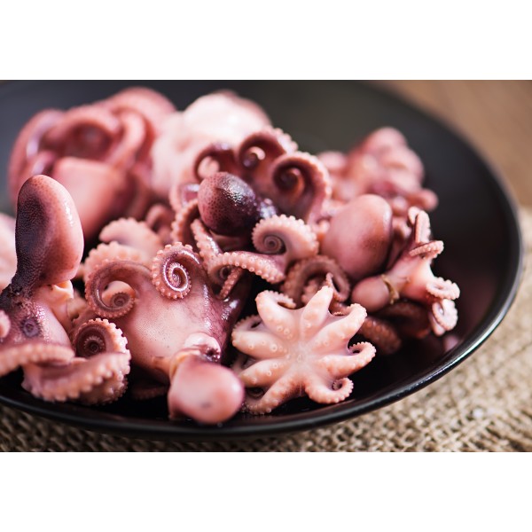 Medium Octopus Whole Cleaned Frozen