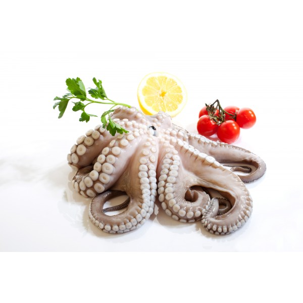Octopus Whole Cleaned Frozen