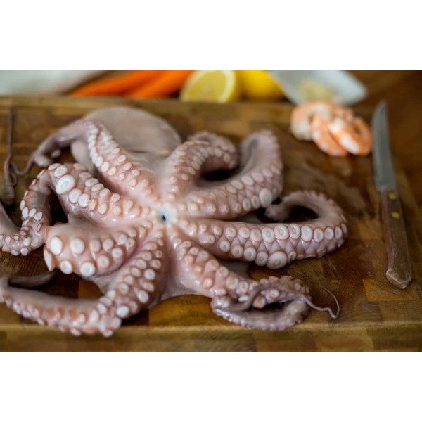 Octopus Whole Cleaned Small Frozen