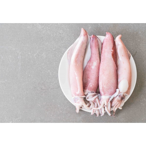 Squid Whole Frozen