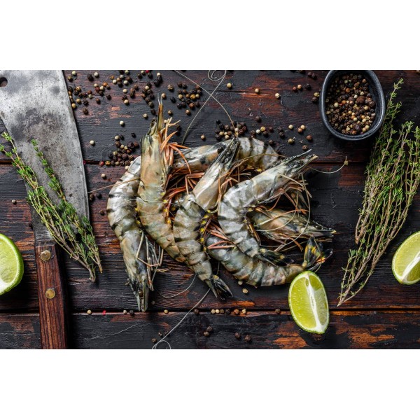 Tiger Shrimps India Frozen