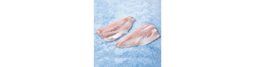 Frozen Fish