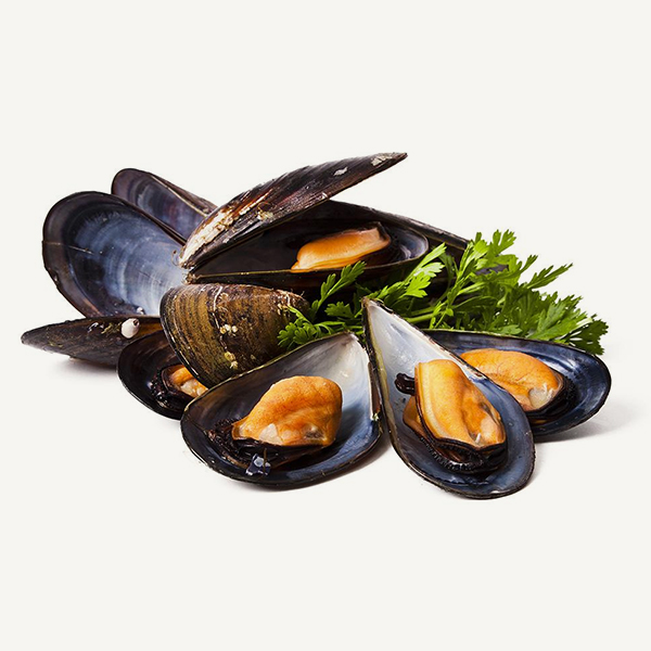 Frozen Mussels
