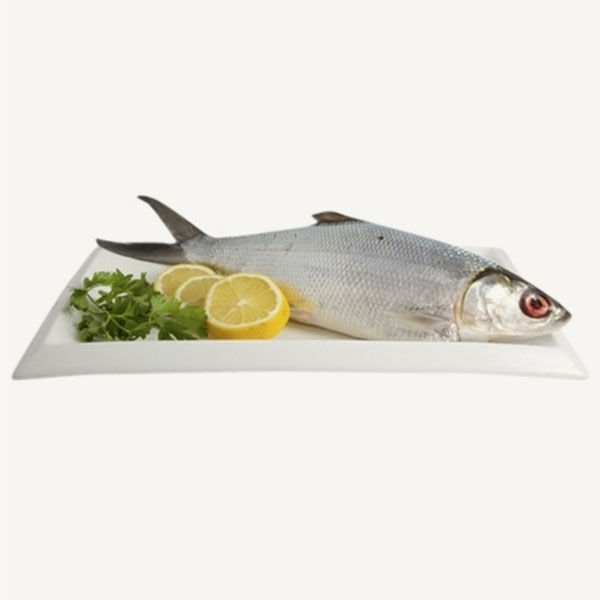 Fresh Milkfish 