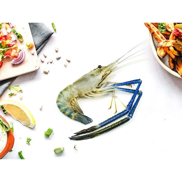 Fresh Water Scampi Frozen