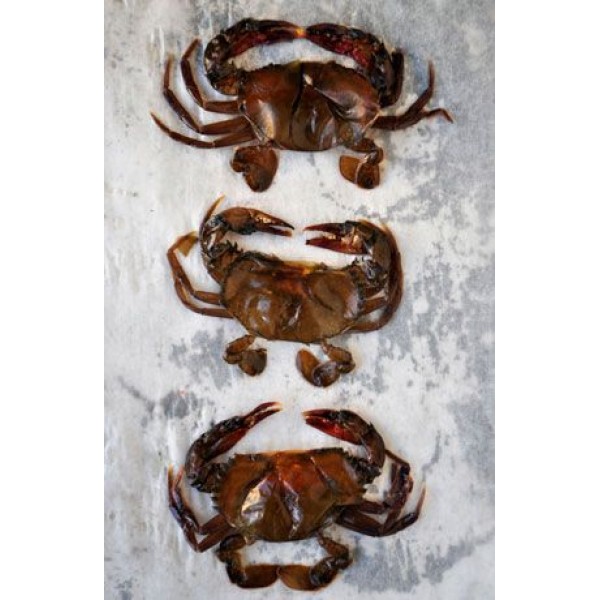 Soft Shell Crab Frozen